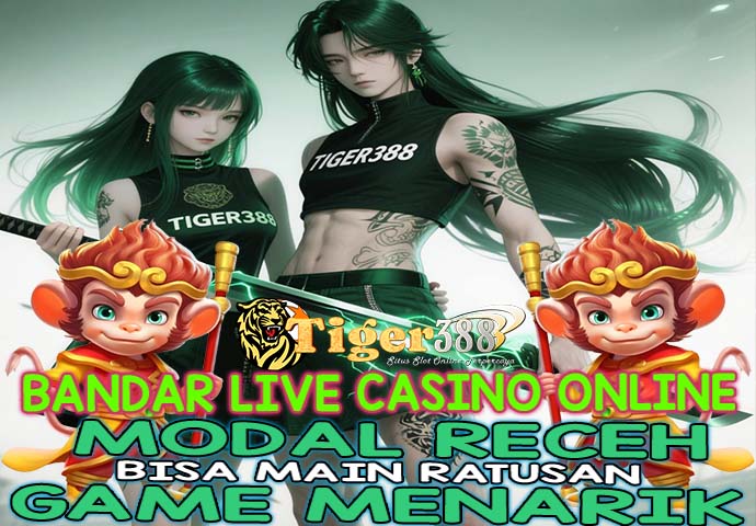 TigerWin388 Bandar QRIS Online Agen Slot Terpercaya